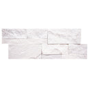 XL ROCKMOUNT Arctic Gray 9"x24" Splitface Ledger Panel Quartzite Wall Tile - MSI Collection panel view