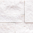 XL ROCKMOUNT Arctic Gray 9"x24" Splitface Ledger Panel Quartzite Wall Tile - MSI Collection panel view closeup 2