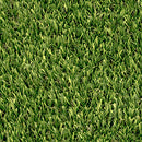 Emerald Green 76 Oz 15Ftx40 Mm Cut To Length Artificial Turf Roll - MSI Collection