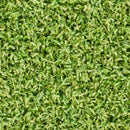 Putting Green 15ftx16 Mm Cut To Length Artificial Turf Roll - MSI Collection
