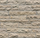 Fossil Rustic Random Sized Natural Sandstone Loose Veneer Ledgestone - MSI Collection