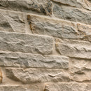 Fossil Rustic Random Sized Natural Sandstone Loose Veneer Ledgestone - MSI Collection