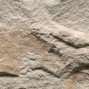 Fossil Rustic Random Sized Natural Sandstone Loose Veneer Ledgestone - MSI Collection
