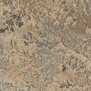 Fossil Rustic Random Sized Natural Sandstone Square And Rectangle Loose Veneer Ledgestone - MSI Collection