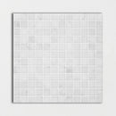 Lonte 12"x12" Polished 1"x1" Marble Mosaic product shot wall view