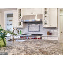 Foster Light 2 3/4"x5 1/2" Polished Marble Tile room shot kitchen view