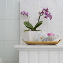 Ice white 14 13/16"x14 13/16" Multi Finish Ponte Basket Marble Mosaic