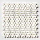 Penny Round Honed 11 1/4"x11 3/4" Marble Mosaic wall view 2
