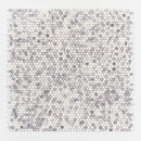 Pitoly Honed Penny Round 12"x12" Marble Mosaic wall view 2