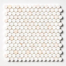 Confetti Honed Hexagon Penny Round Marble Mosaic