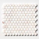 Confetti Honed Hexagon Penny Round Marble Mosaic