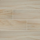MSI Wood Collection aspenwood artic 9x48 NASPART9X48 glazed ceramic floor wall tile product shot multiple planks top view
