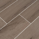 Palmetto Fog 6" x 36" Porcelain Floor and Wall Tile - MSI Collection