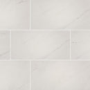 MSI aria ice 12x24 polished porcelain floor wall tile NARICE1224P product shot multiple tiles top view