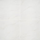MSI aria ice 24x24 polished porcelain floor wall tile NARICE2424P product shot multiple tiles top view