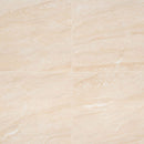 MSI aria oro 24x24 polished porcelain floor wall tile NARIORO2424P product shot multiple tiles top view