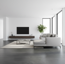 Modern living room with a gray sofa, coffee table, and TV in a bright room.
