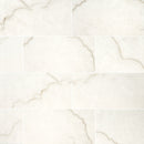 Brighton Gold 12"x24" Polished Porcelain Floor and Wall Tile - MSI Collection wall view