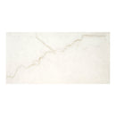 Brighton Gold 12"x24" Matte Porcelain Floor and Wall Tile - MSI Collection wall view 2