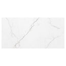 Brighton Grey 12"x24" Polished Porcelain Floor and Wall Tile - MSI Collection