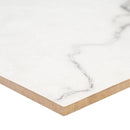 Brighton Grey 24"x24" Polished Porcelain Floor and Wall Tile - MSI Collection profile view