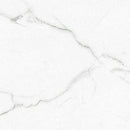 Brighton Grey 24"x24" Matte Porcelain Floor and Wall Tile - MSI Collection closeup view