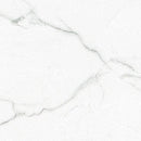 MSI Brighton Grey 24"x48" Polished Porcelain Floor and Wall Tile closeup view
