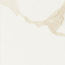 Eden calacatta 12 in x 24 in matte NEDECAL1224 porcelain floor and wall tile product shot wall view 3