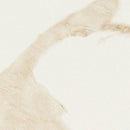 Eden Calacatta 24"x24" Matte Porcelain Floor And Wall Tile - MSI Collection product shot closeup view