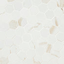 Eden Calcatta 12"x12" Hexagon 2" Matte Porcelain Mosaic Tile product shot angle view