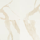 Eden Calcatta 32"x32" Matte Porcelain Floor And Wall Tile - MSI Collection