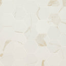 Eden Calcatta 12"x12" Hexagon 3" Matte Porcelain Mosaic Tile product shot wall view