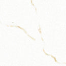 Miraggio Gold 24"x48" Porcelain Polished Floor and Wall tile - MSI Collection product shot wall  2 view