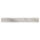 Napa Gray Bullnose 3"x24" Glazed Ceramic Wall Tile - MSI Collection product shot tile view