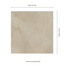 Sande Cream Polished Porcelain Floor and Wall Tile - MSI Collection