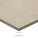 Sande Cream Polished Porcelain Floor and Wall Tile - MSI Collection
