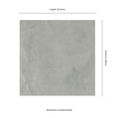 Sande Grey Polished Porcelain Floor and Wall Tile - MSI Collection