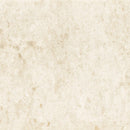 Stella Biscotti 2"x10" Glossy Ceramic Wall Tile - MSI Collection closeup view