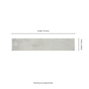 Stella Rhino 2"x10" Glossy Ceramic Wall Tile - MSI Collection product shot measurement view
