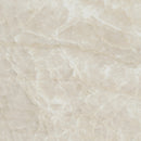 Legions Taja Ivory Matte Porcelain Floor And Wall Tile - MSI Collection