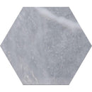 Hexagon Foster Light 5 25/32"x5" Polished Marble Waterjet Decos product shot tile view