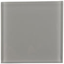 Oyster gray 3x6 glossy glass  subway tile SMOT-GL-T-OYGR36 product shot one tile closeup top view
