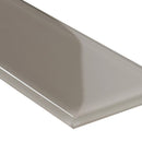 Pebble 4x12 glass gray subway tile SMOT-GL-T-PE412 product shot profile view