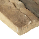 Peninsula earth stacked stone 9x19.5 natural manufactured stone LPNLEPENEAR6 product shot profile ledger view