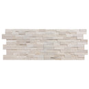Piedra Caliza Ledger 3D Panel 6"x24" Multi Surface Natural Limestone Wall Tile
