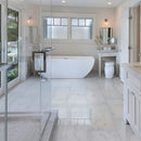 Praia carrara 12x24 polished porcelain floor and wall tile NPRACAR1224P-N product shot bathroom closeup view