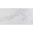 Praia carrara 12x24 polished porcelain floor and wall tile NPRACAR1224P product shot single tile top view