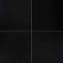 Premium black 18 in x 18 in polished granite floor and wall tile TPREMSUD1818 product shot top view