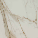Regallo calacatta marbella 12x24 matte porcelain floor and wall tile NREGCALMAR1224 product shot wall  view