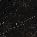 Regallo marquina noir 24x24 polished porcelain floor and wall tile NREGMARNOI2424P product shot wall view